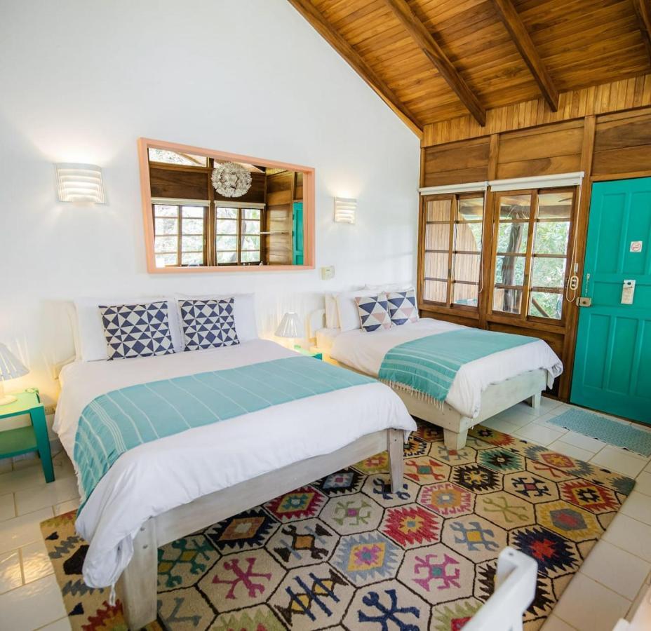 Hotel Guiones 诺萨拉 外观 照片