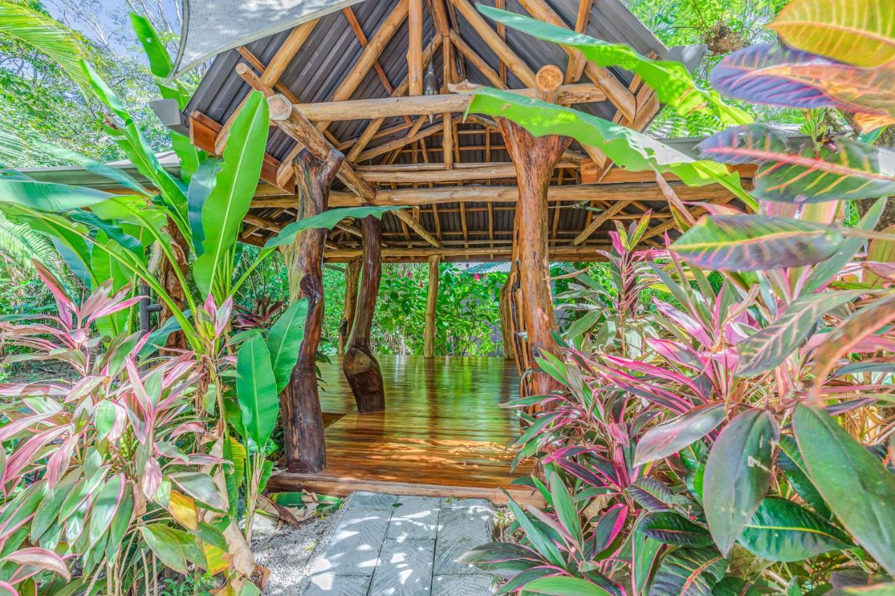 Hotel Guiones 诺萨拉 外观 照片